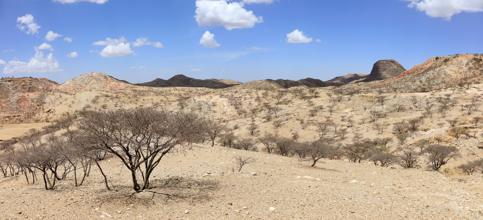 Himberti - Eritrea