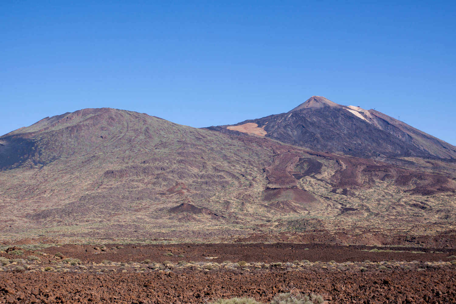 IMG 7383
